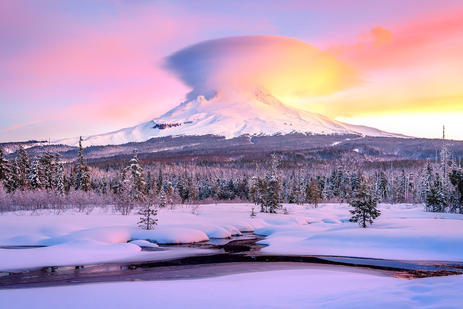 8.) This pastel winter wonderland.