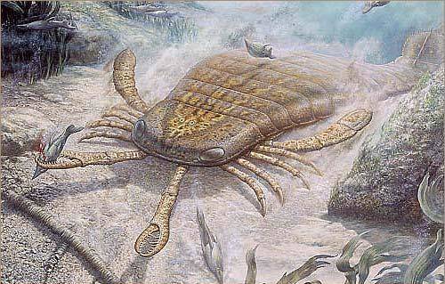 6.) Jaekelopterus (the giant sea scorpion)