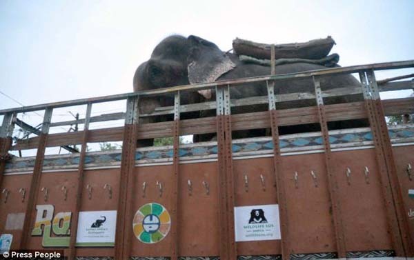 His open-air ride was one of his first tastes of true freedom.