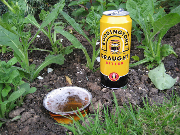 Putting beer in your garden will help repel slugs.
