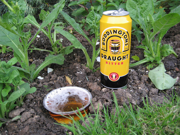 15.) Putting beer in your garden will help repel slugs.