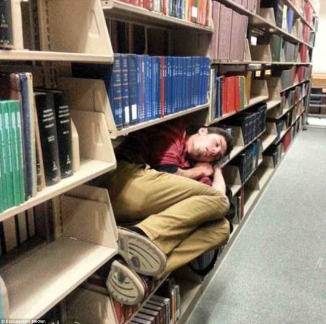 A student who actually LIVES at the library.