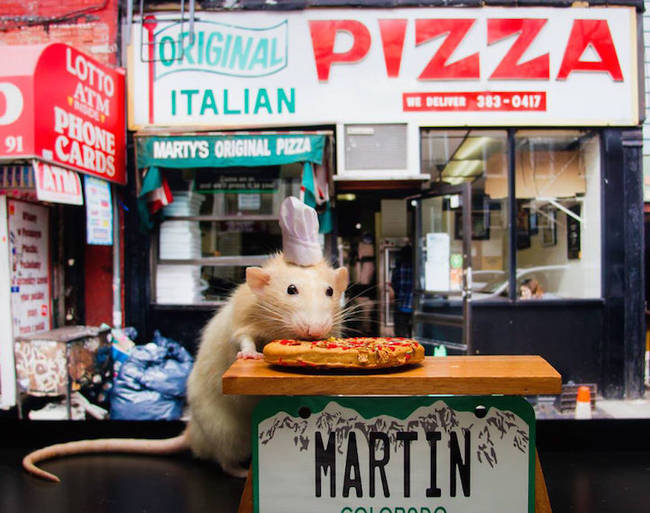 Marty tries his hand at pizza making.