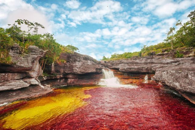 12. <a href="https://www.lamacarena-meta.gov.co/index.shtml" target="_blank">Caño Cristales River, Colombia</a>