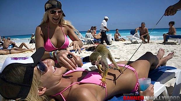 8.) This monkey will gladly rub sunscreen your back.