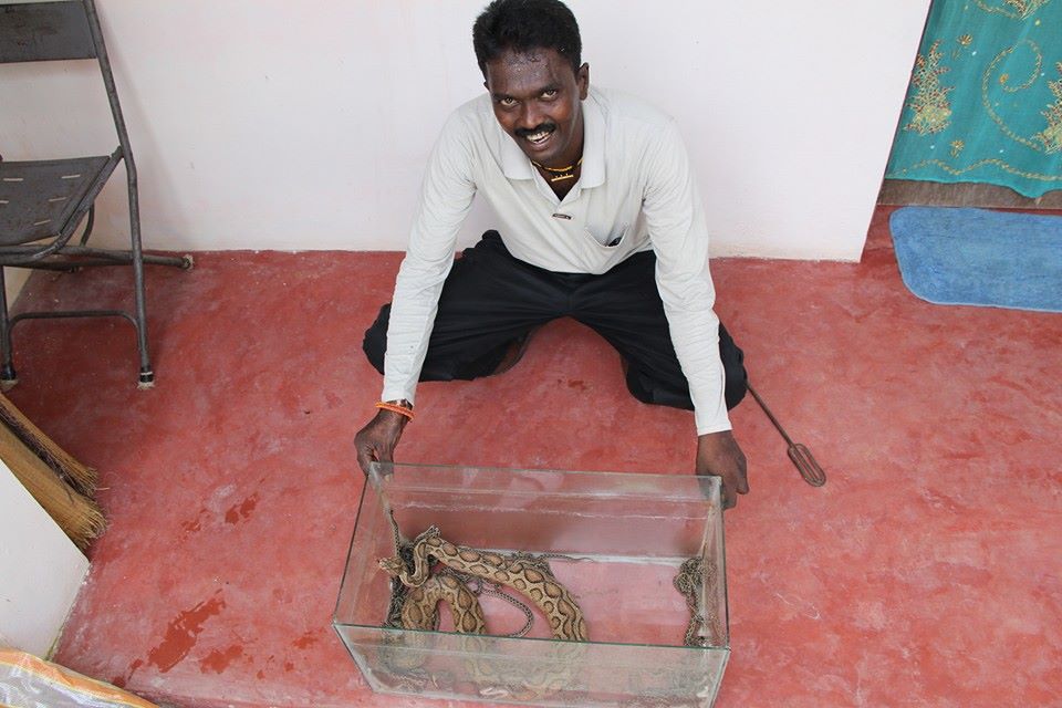 Know for his personal mission to save stray snakes that wander into inhabited regions in India, his life's work is to rescue they creatures and set back towards the wild to avoid being killed.