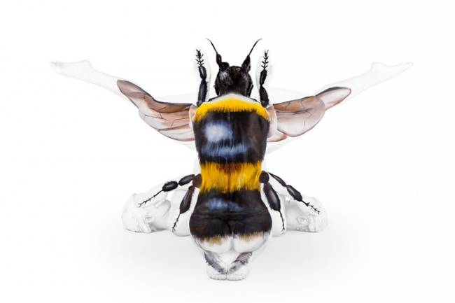 Bee