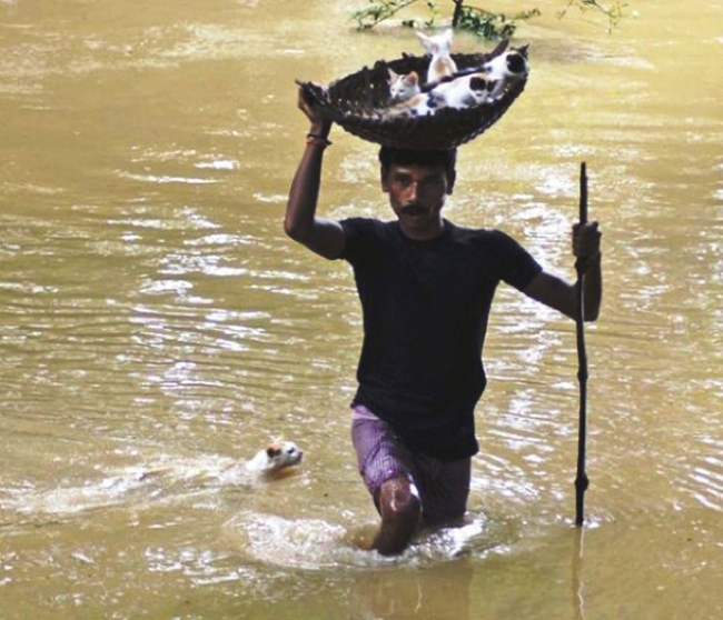 20.) A man in India helps a mother cat move her kittens following a flood.