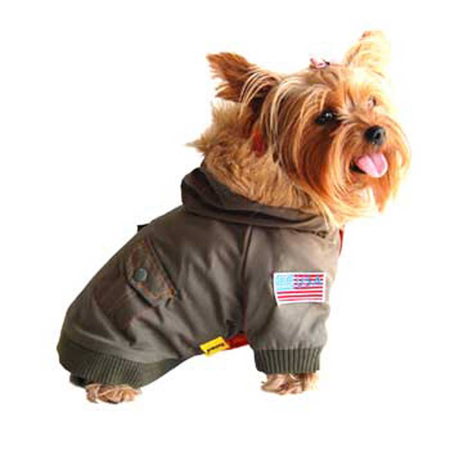 Or this awesome <a href="https://www.petco.com/product/118682/Anima-Green-Dog-Bomber-Jacket.aspx" target="_blank">aviation-inspired option</a>.