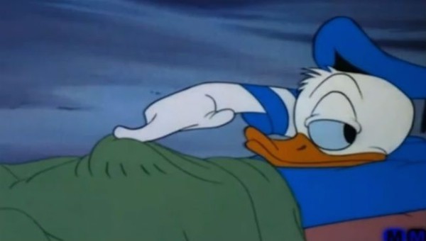 13.) Donald you shouldn't be touching that.