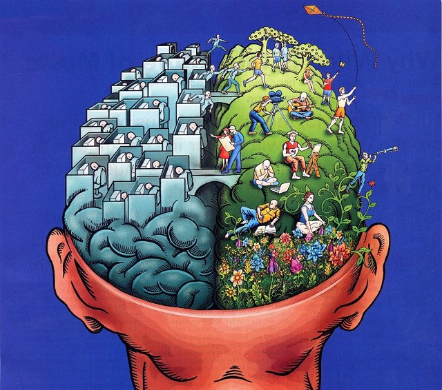 8.) There is no left brain/right brain divide. They are constantly working together.