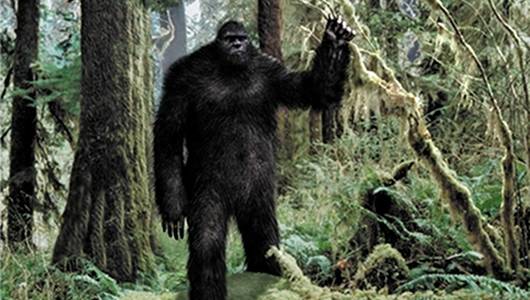 In Texas, it is legal to kill Big Foot if you ever find it.