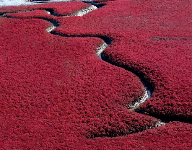 Red Sea Beach, China