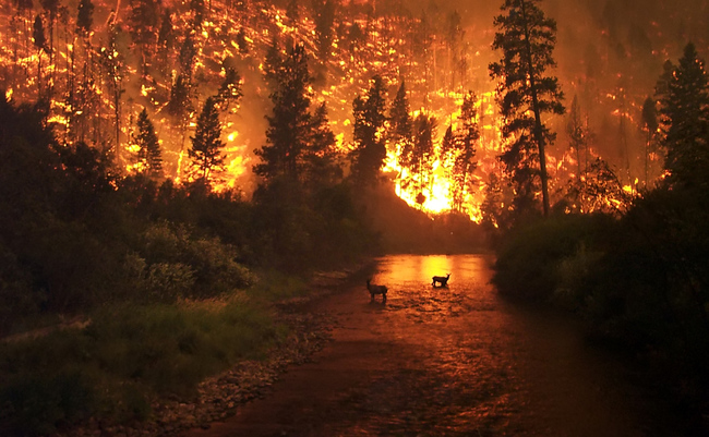 8.) In Montana's Bitterroot National Forest.