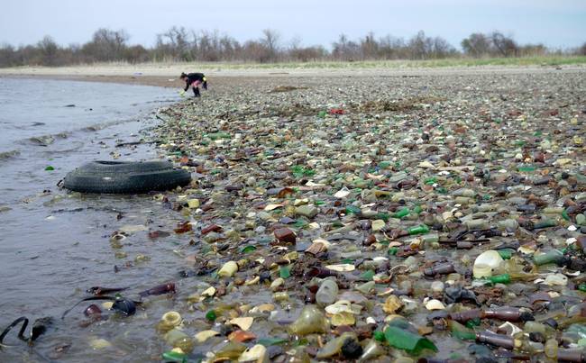 In Brooklyn, New York, there is a beach called Dead Horse Bay. In the 1850s, it became the host of several glue making factories. The horse corpses were dumped here to rot, leaving the bay to reek.