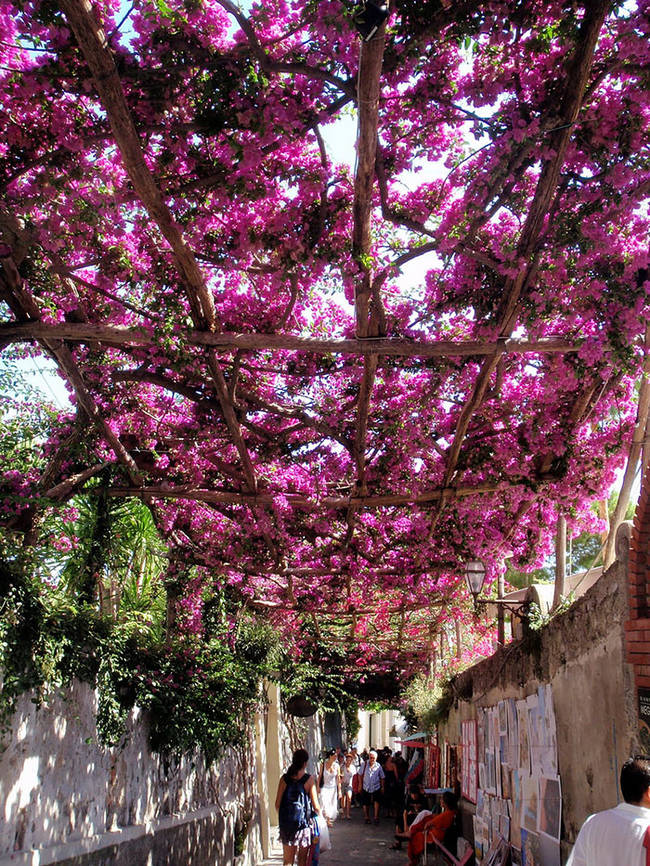 Positano, Italy