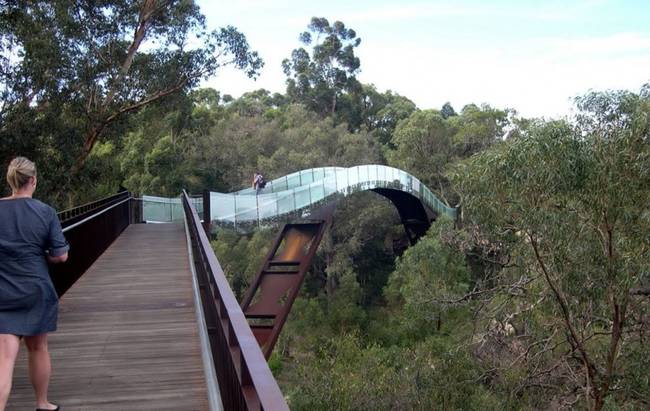 Kings Park and Botanic Garden, Perth, Australia