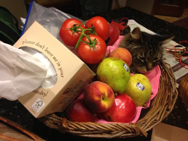 This one is titled, "Bowl Of Fruit, Cat Included."