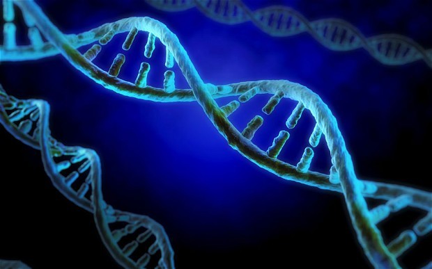 8) Degenerating DNA - <a href="https://thetruthwins.com/archives/the-human-race-is-dying-dna-degeneration-would-eventually-lead-to-the-total-extinction-of-humanity">6,000 Years</a>