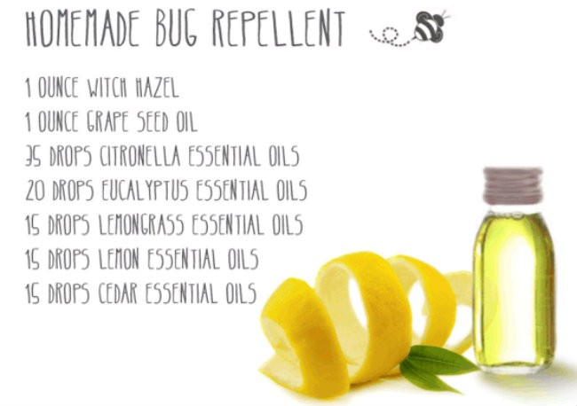 15.) Organic Bug Repellent