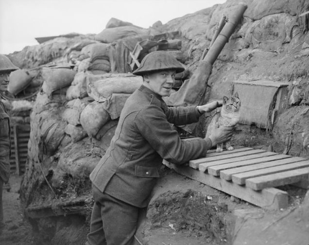 7.) A gunner in a French trench with his regimental cat.