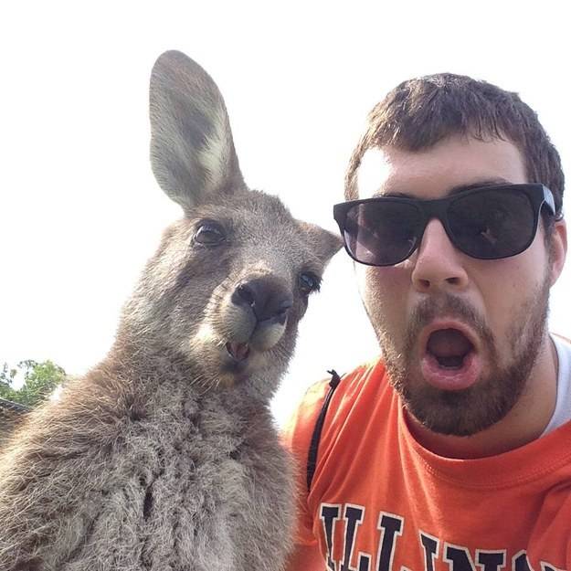 Man and Kangaroo