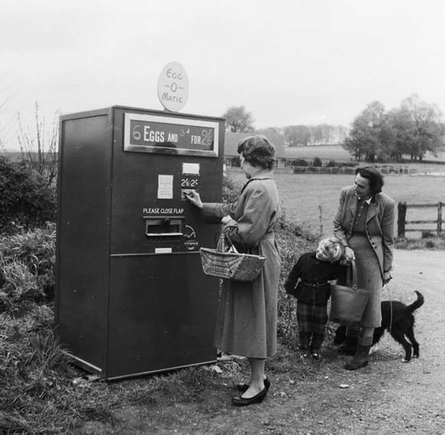 Get your farm fresh eggs right from the vending machine.