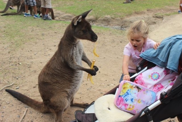 8. Oh, did you want to eat your lunch? My bad.