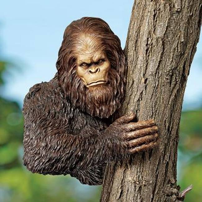 <a href="https://www.skymall.com/bigfoot-tree-yeti-sculpture/DB-583078.html" target="_blank">Bigfoot Tree Yeti Sculpture</a>