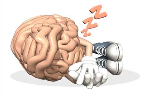 6.) Sleeping at night is considered the most ideal time for the brain. It appears to enhance the connection between nerve cells in the brain. The brain process is believed to support the basis of memory and learning. In a recent scientific study, it is revealed the brain consolidates all the learned memories from the whole day while sleeping at night.