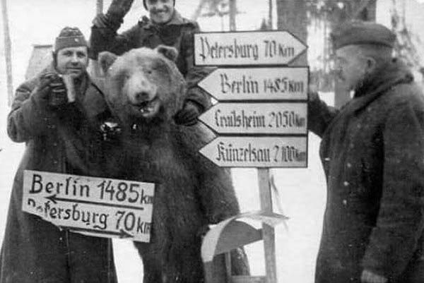 18.) Private Wojtek was a (real) Syrian brown bear cub found in Iran and adopted by soldiers of the 22nd Artillery Supply Company of the Polish II Corps in World War II.