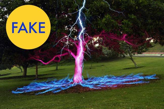 2.) This picture of lightning hitting a tree is fake as fake can be.