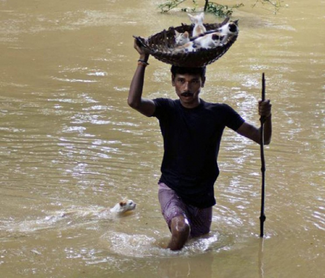 14.) A resident of Cuttack City, India rescues kittens from a flood.