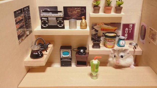 Chilling out in his own little home kitchen.