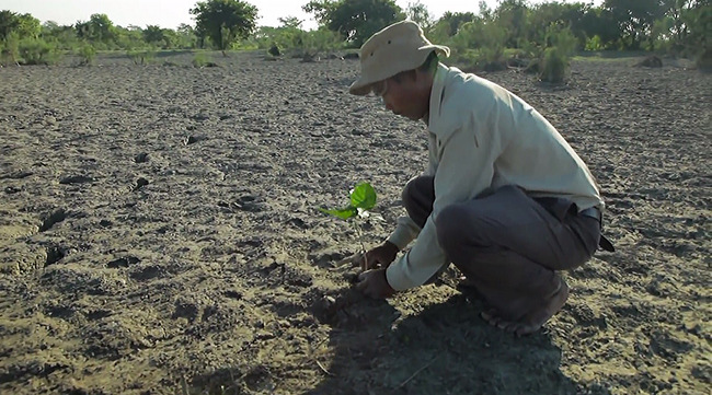 His solution was simple: plant a diverse forest to grow the roots necessary to prevent erosion. Since starting his work, his "forest" has grown to over 1,360 acres, which is larger than Central Park.