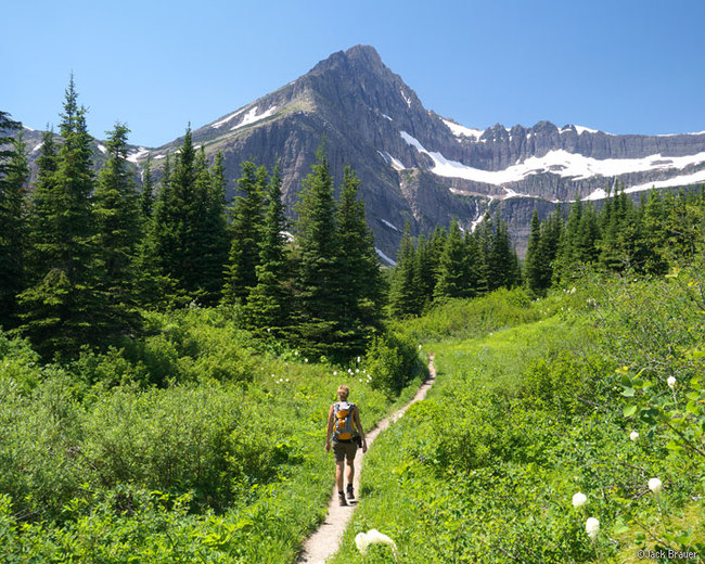 3. “Don't forage for food if you're lost, find water and shelter and stay put. You're more likely to eat something poisonous and you can survive for days without food. You're also more likely to get more lost if you move than stay put.” - <a href="https://www.quora.com/Ryan-Borek">Ryan Borek</a>