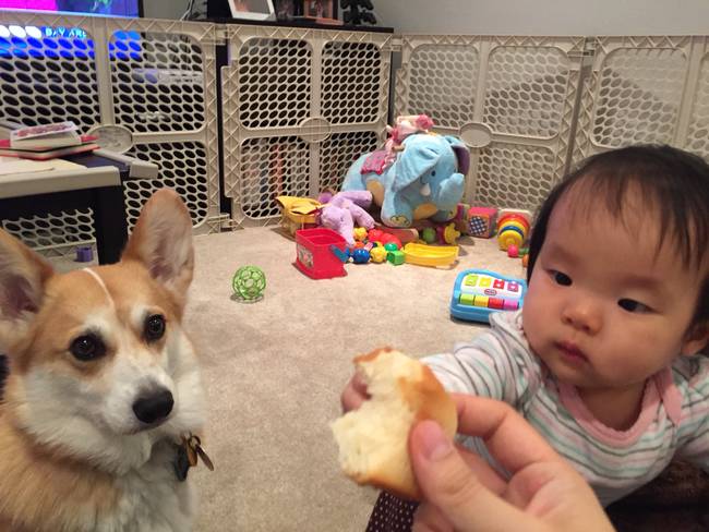 They know they look too cute for him to deny stealing his food.