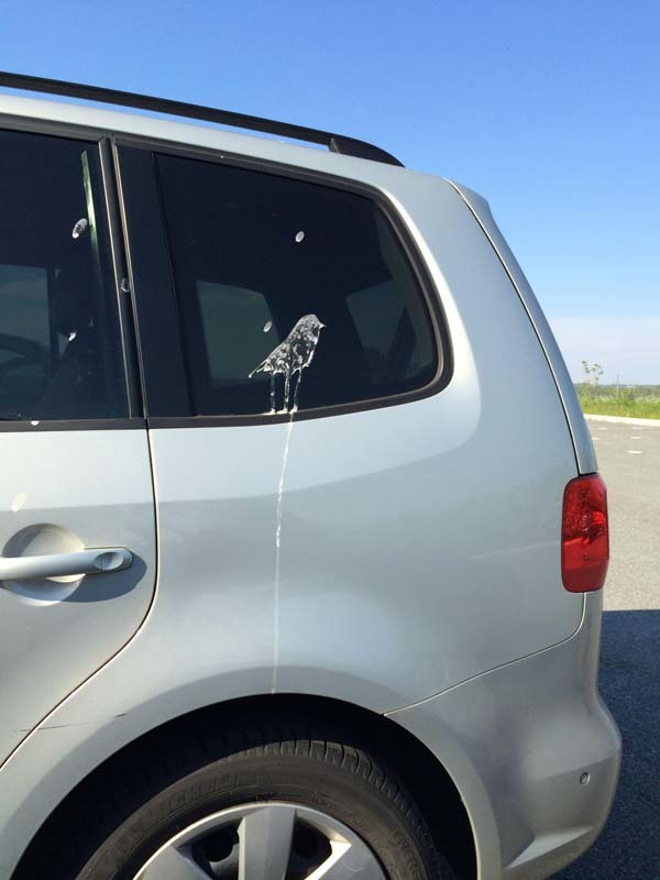 14. This bird poop looks like a bird.