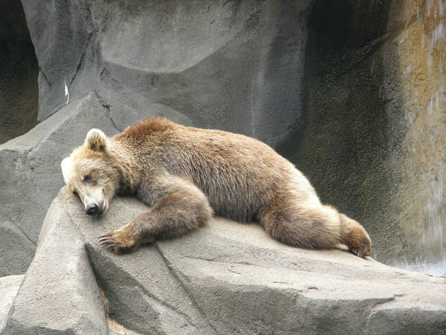 "I'm so depressed that even this rock is comforting to me."