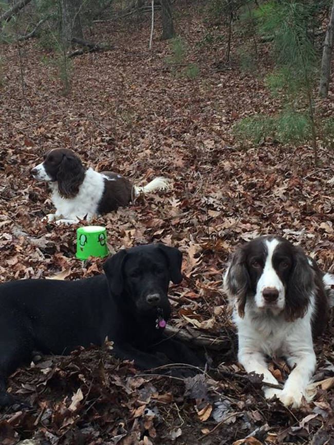 Parker, Suzie, and Mimi from Virginia