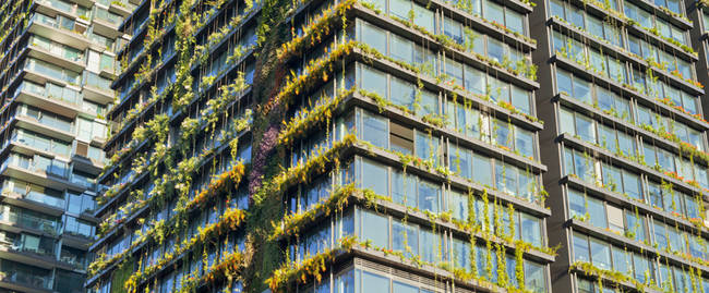 The vegetation grows freely all over the building, like an urban forest.