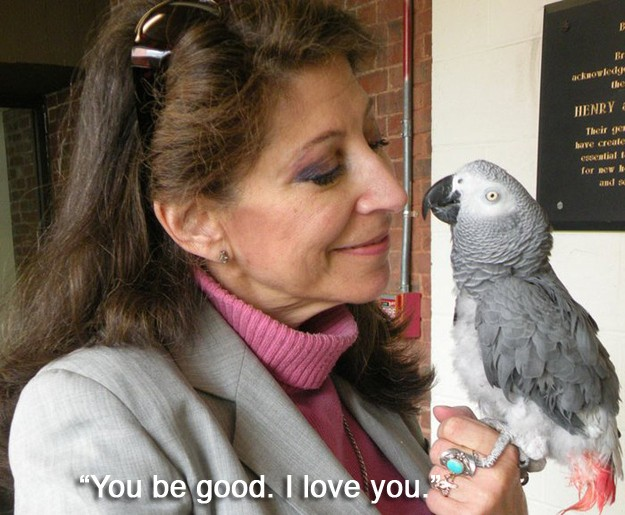 3.) "You be good. I love  you."--The last words of Alex the grey African parrot. Alex had a close relationship with his owner Irene and wanted to express it before he passed away in 2007.