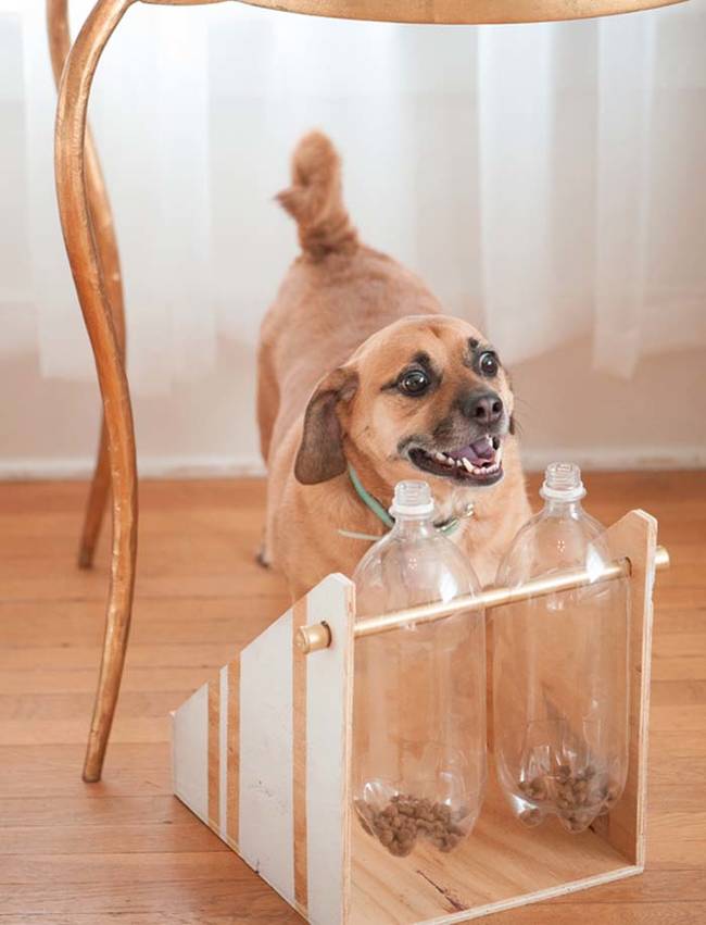 15.) A recycled <a href="https://www.dailydogtag.com/diy/diy-treatfood-dispenser-paw2014/" target="_blank">dog treat dispenser</a> will keep your pet entertained and happy.