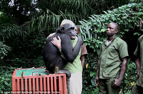 This moment between Jane Goodall and <a href="https://www.viralnova.com/wounda-the-chimp-rescue/" target="_blank">a very special old friend</a>.