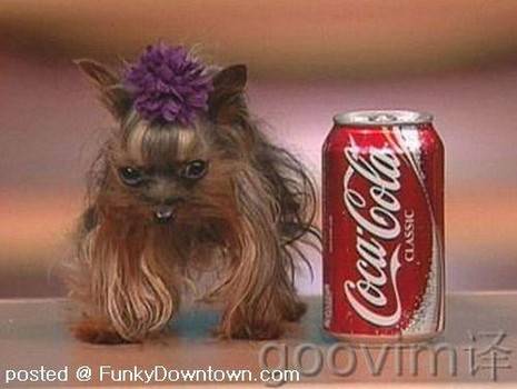 Yet another Coke sized pooch.