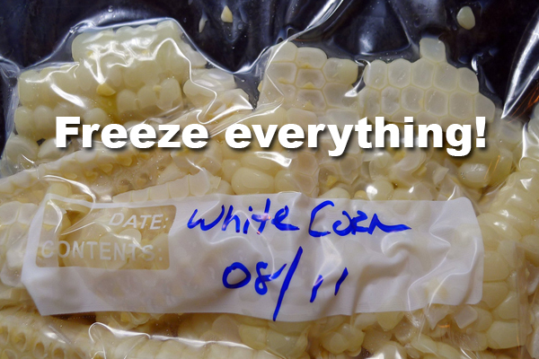 12. Well, practically everything. Using a vacuum sealer is ideal, but most food can be frozen and used later if stored properly.