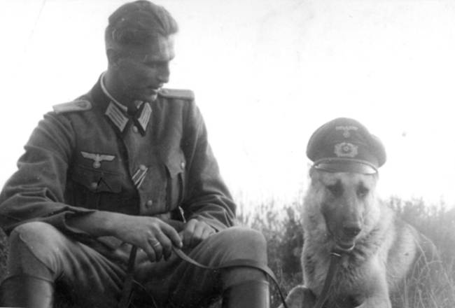 The Nazis tried to teach dogs to talk and read.