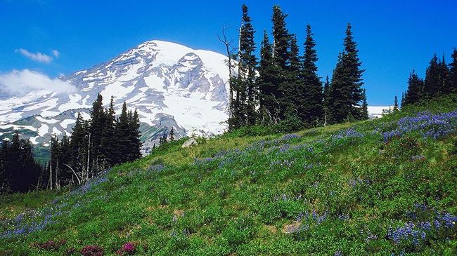 7.) The Alps have nothing on Mount Rainier. At least when Rainier is so close!