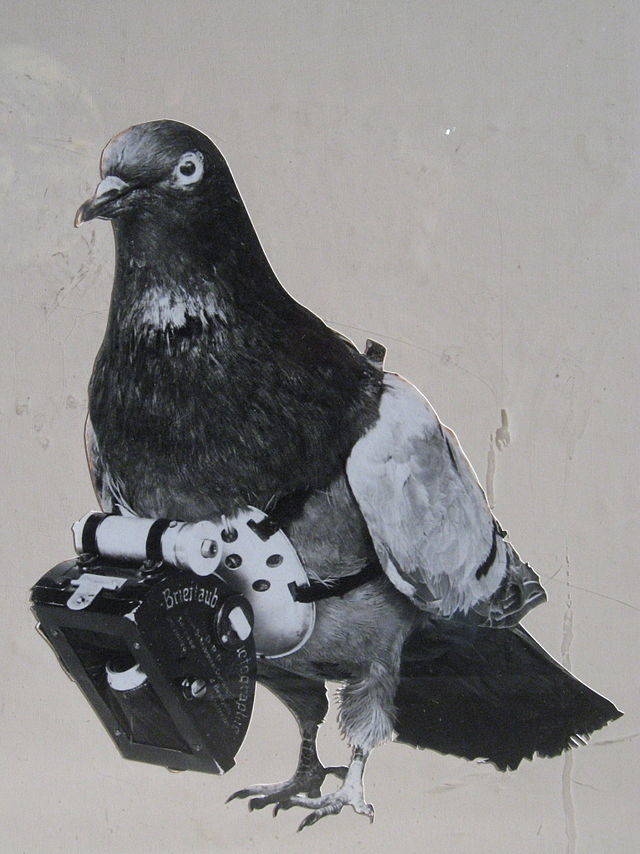 Dr. Julius Neubronner realized that pigeons could be put to an interesting and innovative new use.