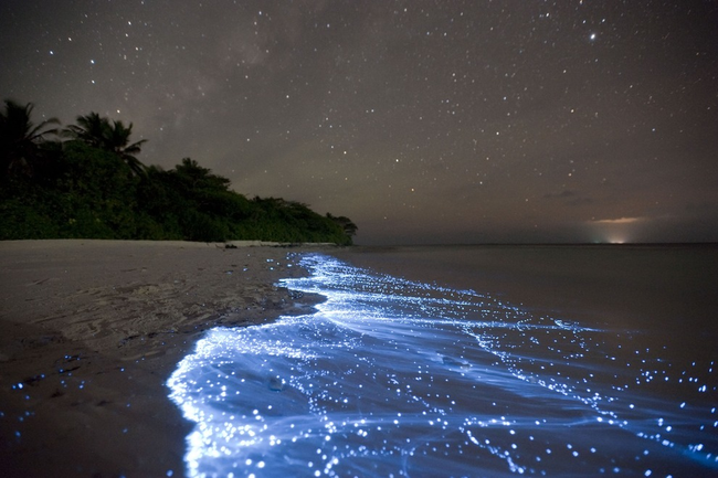 Vaadhoo Island, Maldives.